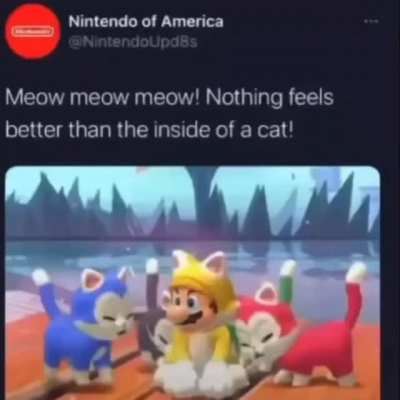 Nintendo why