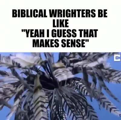 MAKESE SENSES