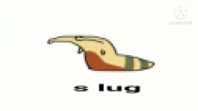s lug