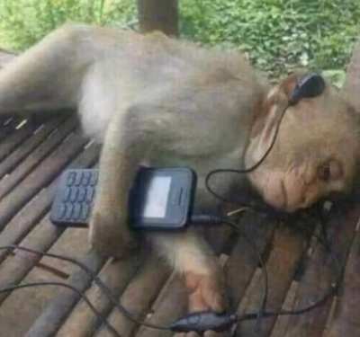 mono triste