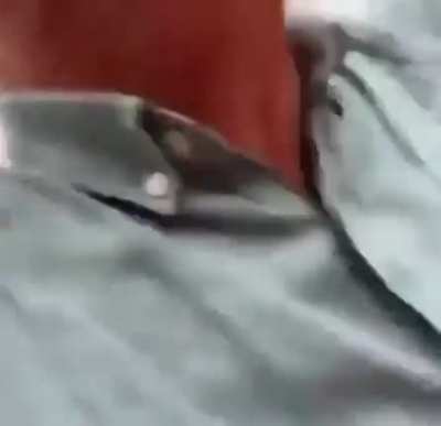Alemão falando br