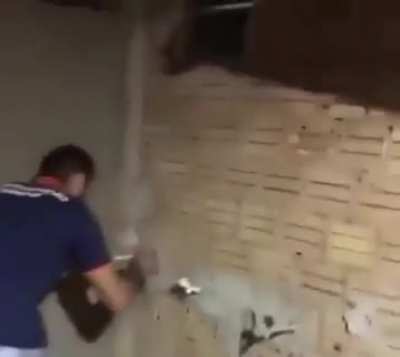 Disgraça