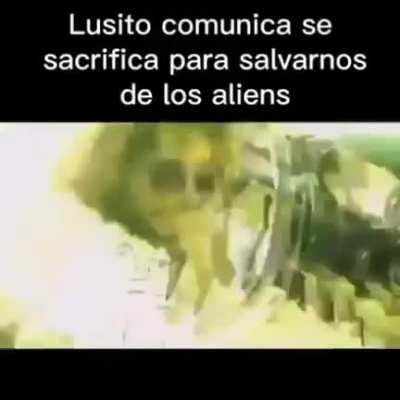 Nooooooo luisito 😞