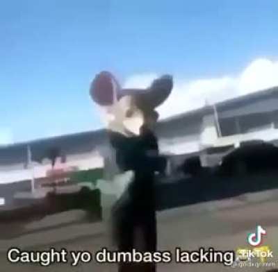 Saw it from tiktok