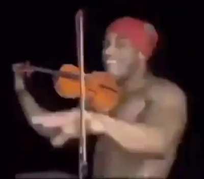 Moldy violin