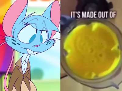 furry_irl