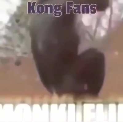 Cellbit torce pro Kong n&eacute;?