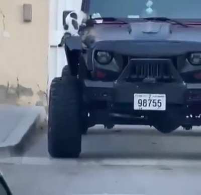 The perfect car horn
