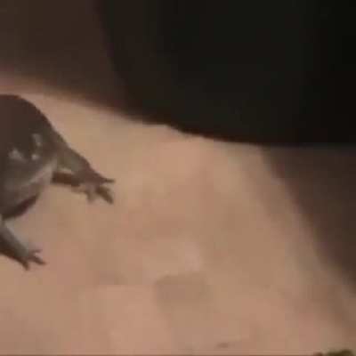 lan kurbayı birak pic😤