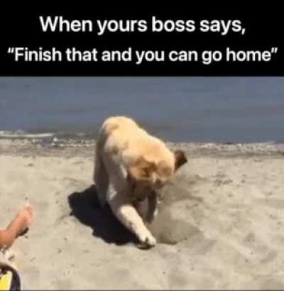 I&rsquo;m done!