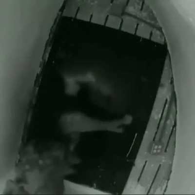 footage of baizwhore at homoverse beysment 😔 #FreeBaizhu 🥬⚕️🐍