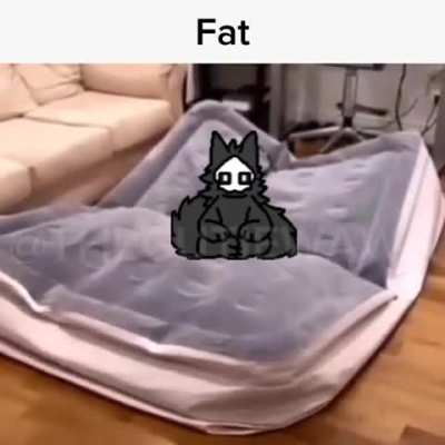 xd