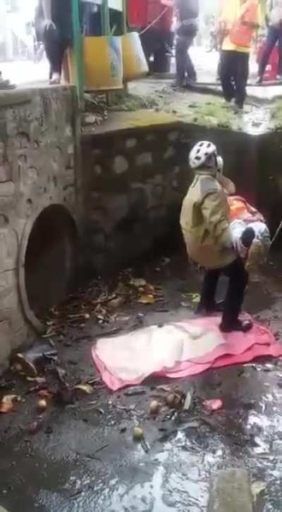 To the rescue