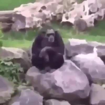 Go ahead, ban me commie