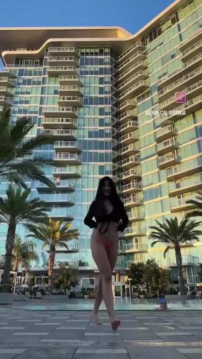 Ebony