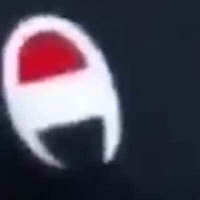 Sus