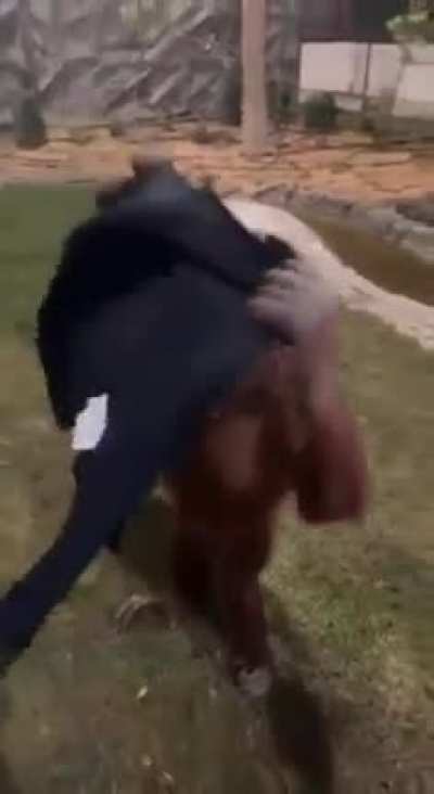 Jacket monkey