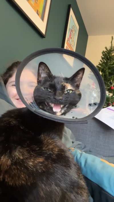 special edition cone ekekek