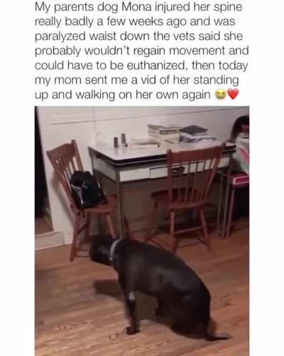 You go girl!