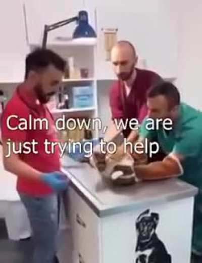 I'd be angry as well