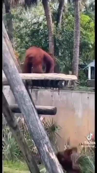 Your people down there need you.