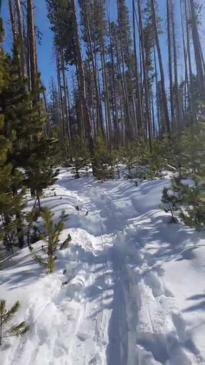 Nature snowy road to nowhere