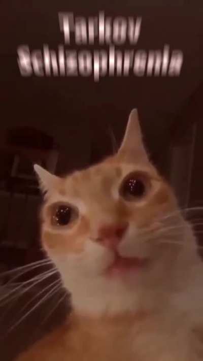 I can't tell what's real anymore