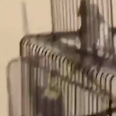 Wait for it