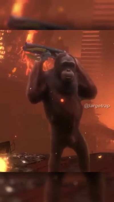 Funky monkey friday