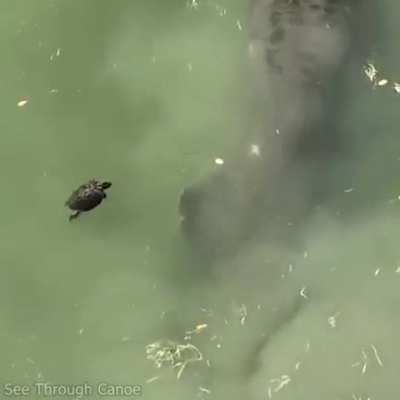 Maybe maybe maybe