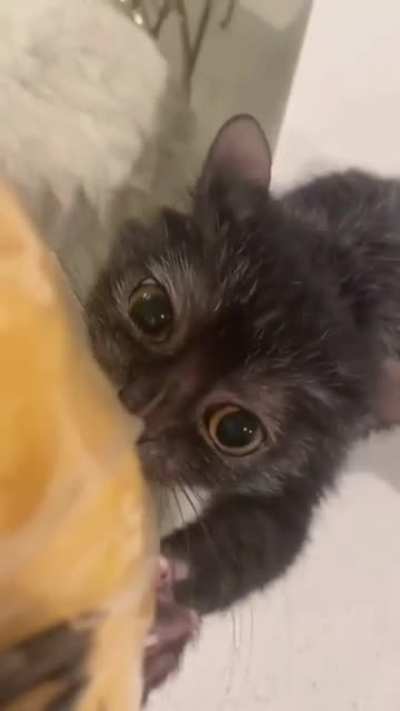 Dis is mine