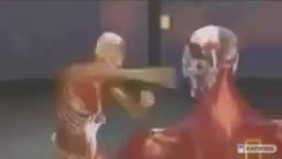 "Im too good" Mfs when i hit them full force in the nuts with a drop kick while i yell "JUDGEMENT"