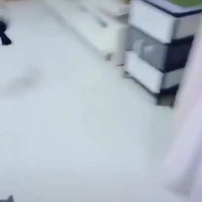 What&rsquo;s that bird doing? Oh&hellip;