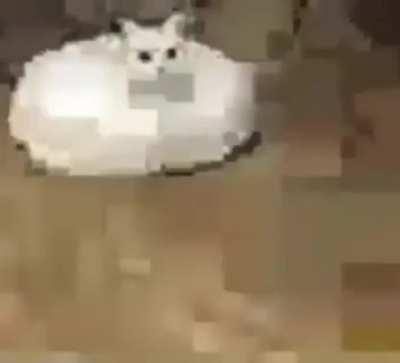 mods gay
