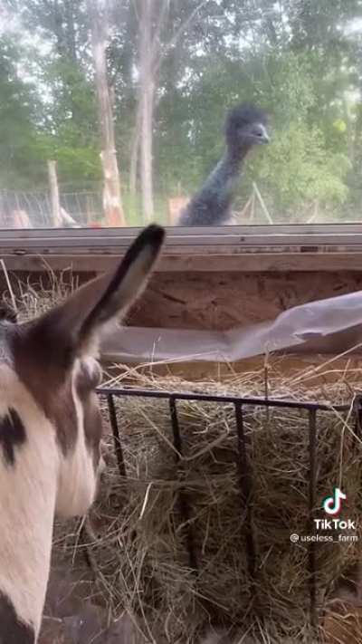 Uh, why did they get their food before us?