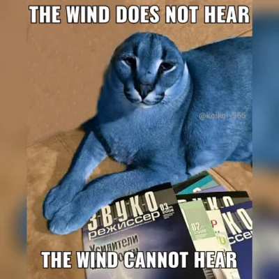 Floppy doesn't hear