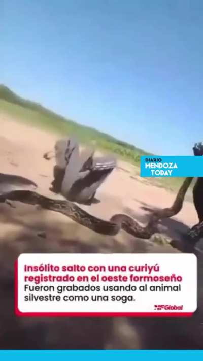 Se filman usando a una curiyu como soga de salto en la provincia de Formosa - Argentina
