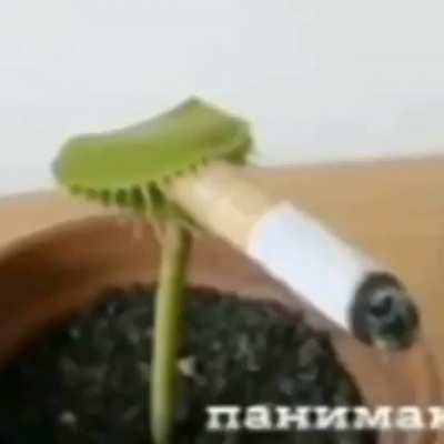 Awesome part 111.