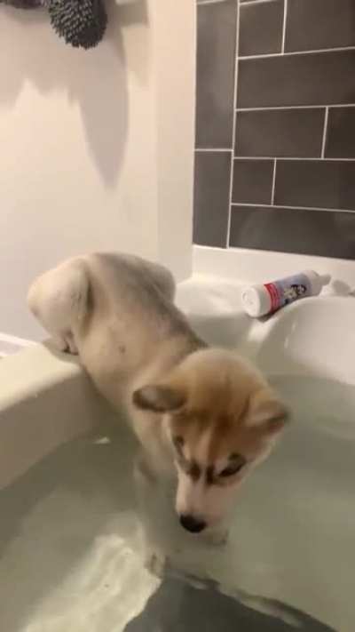 Can&rsquo;t even take a bath without him LOL