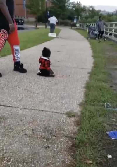 A child's first steps are always striking