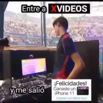 Xd