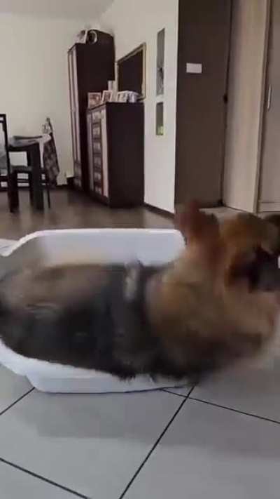 It 's my bed!
