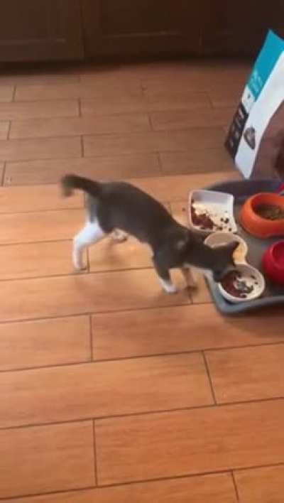 Touch tha Food