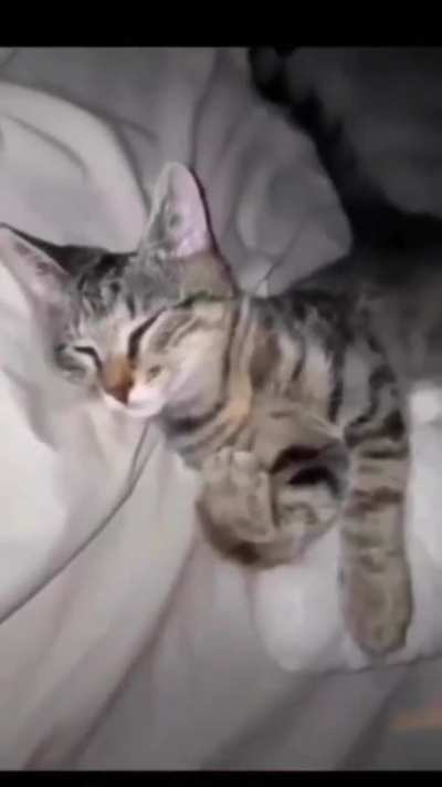 peepohappy