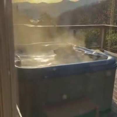 Bear takes a dip in the ol&rsquo; Jacuzzi