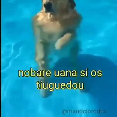 Estou de boa