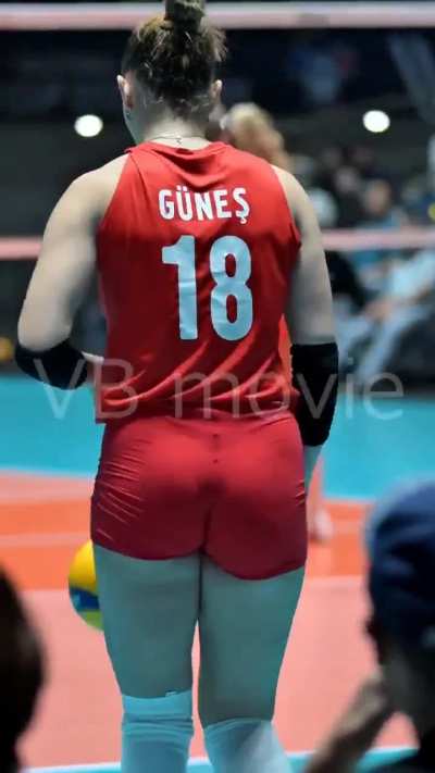 zehra gunes.