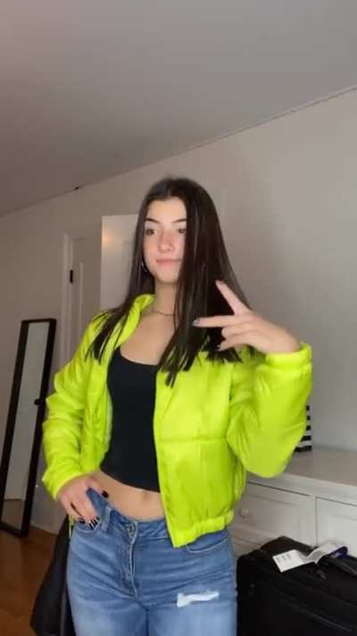 yellow jacket