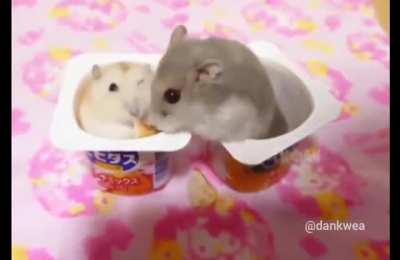 Maybe Maybe Maybe