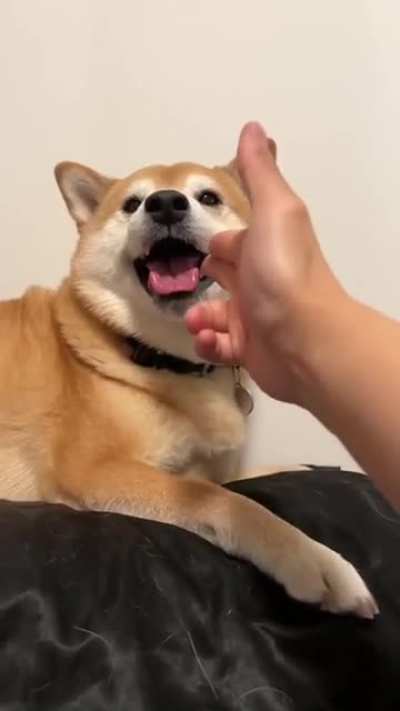 Bang